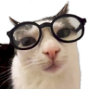 A very nerdy cat staring at you with its big glasses.