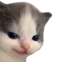 A kitten with very malicious intentions.