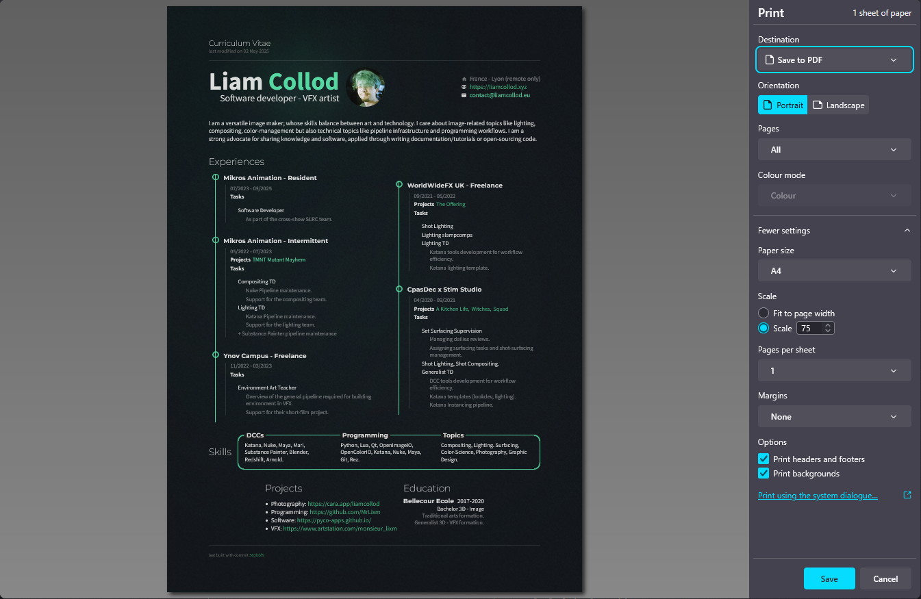screenshot of the "print" window from Firefox, with my cv in a A4 format.