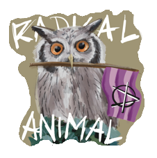An anarchist and mad proud owl with a mad pride flag in her beak. Behind we can see a text "radical animal". Stay punk and wear masks.