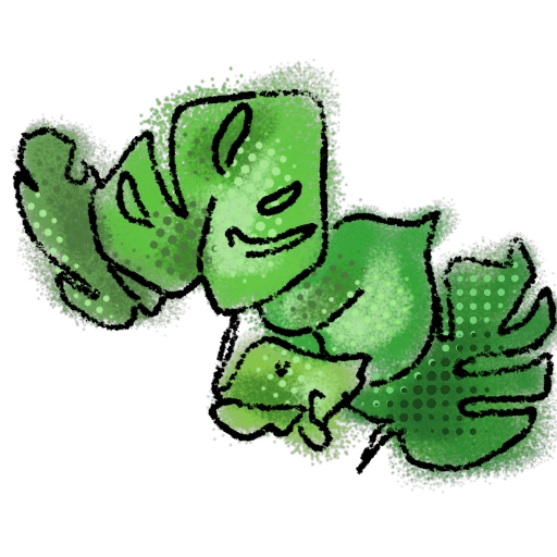 decorative plants image