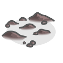 icon for the scree node