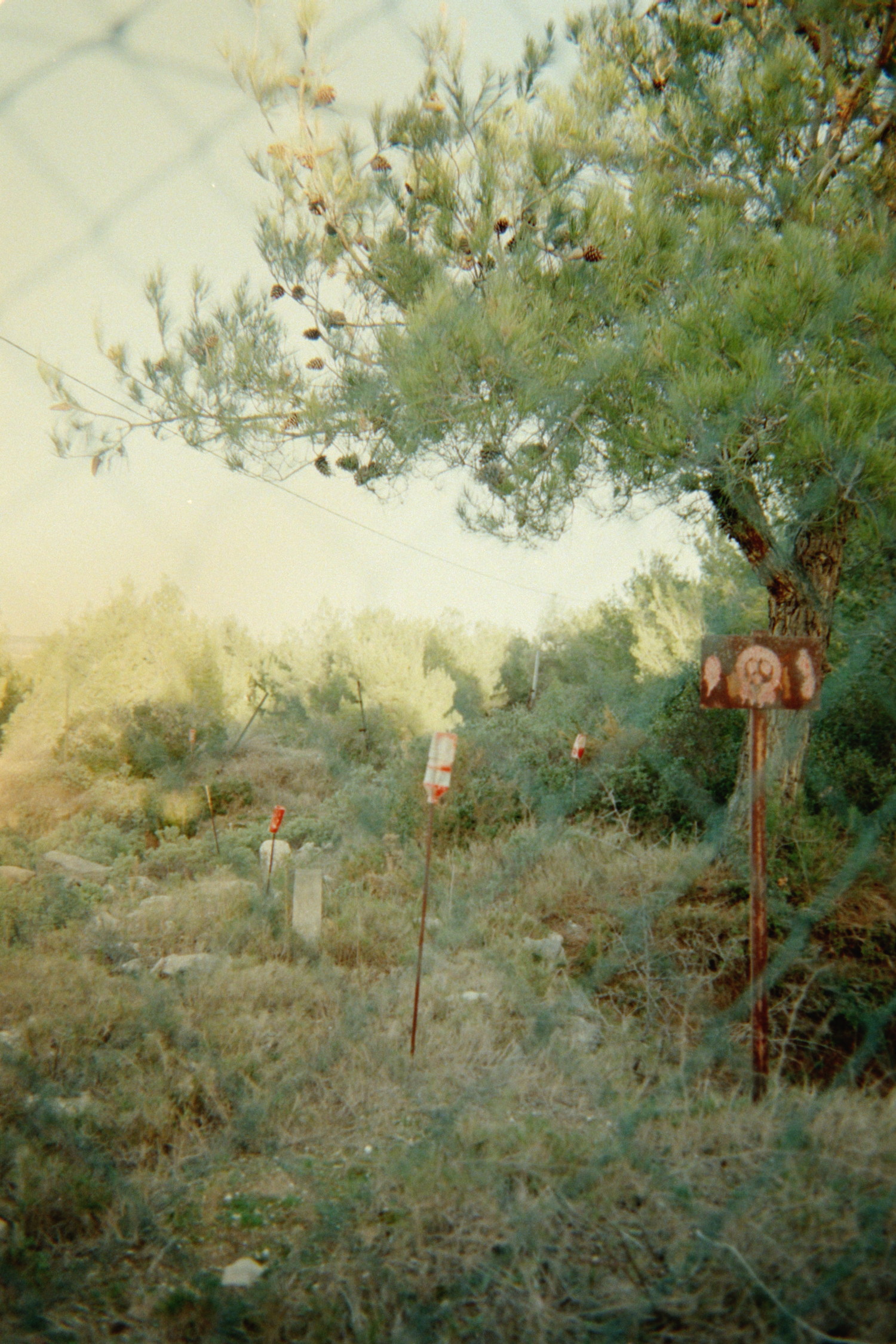 What's going on behind that metal fence ? There is some red-painted bottles sticked on rusty poles, and an as-much-rusty sign with a very naive skull painted on it. That clearly a sign to not go further but why ? Which is a pity because the area is gorgeous, with the sunset embrathing in warmth the mediterranean vegetation.