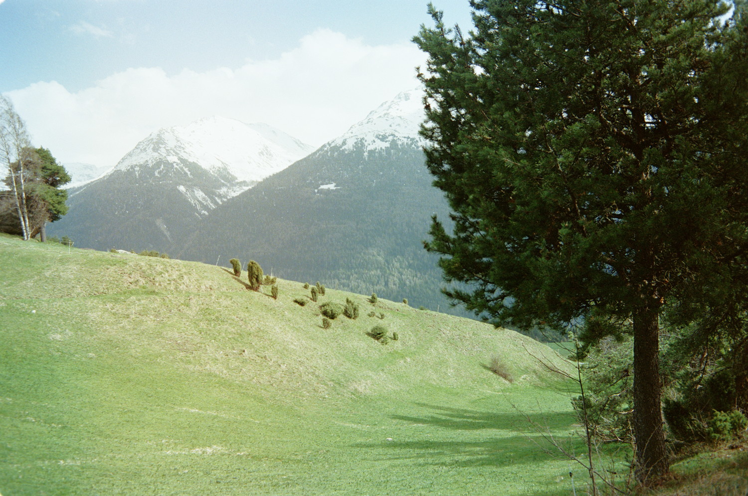The view was breathtaking. A foreground tree is quickly leaving room to a large sloppy prairie. Far away, mountains wearing the usual half white, half green robe. And the weather was perfect too ! A warm sun but with enough wind to stay cool.