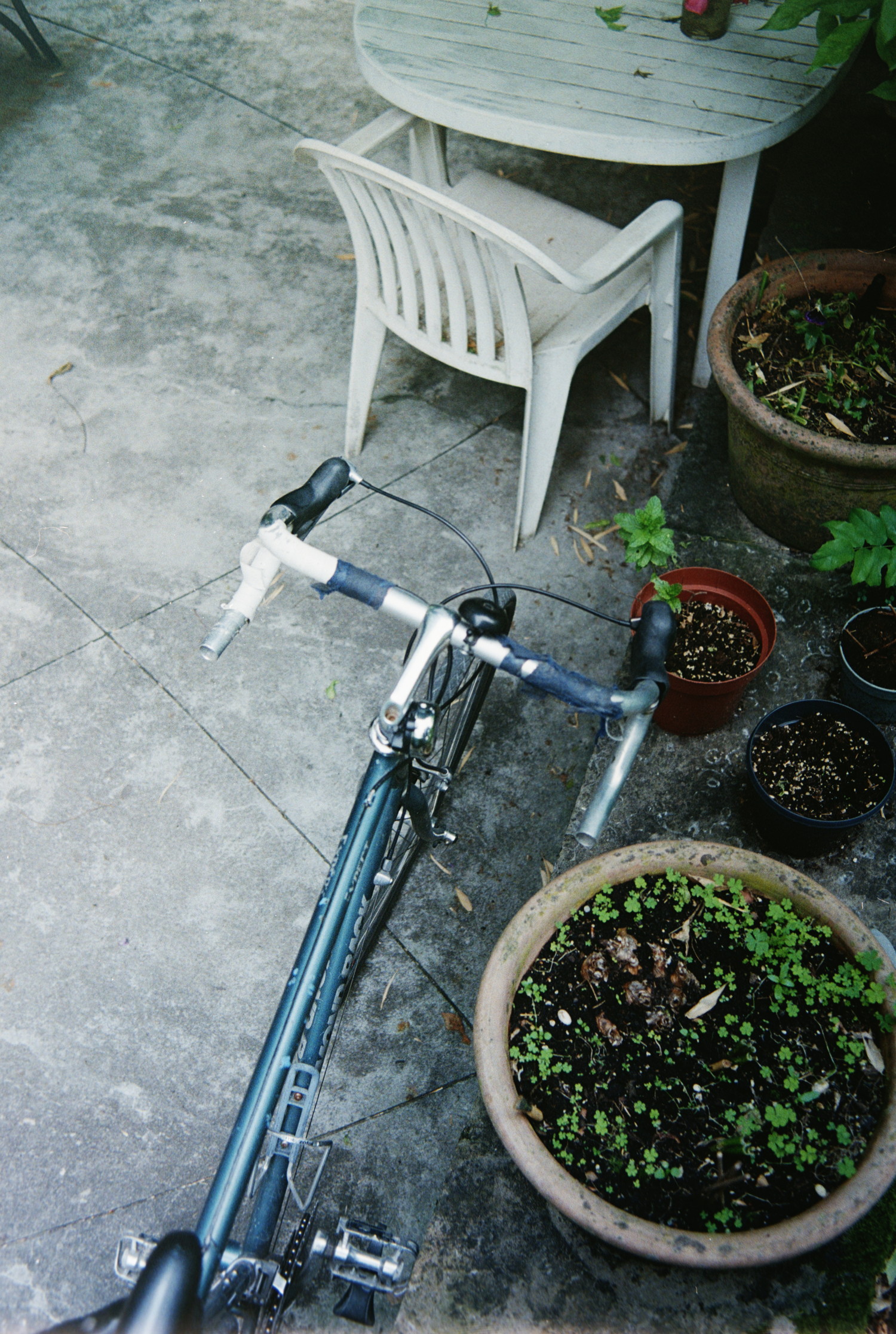 Someone left it's vintage bike on the garden's terrace, and I thought it would make a cool shot. It sits next to an heterogenous set of flower pots, except there's not much flower yet. I love the floor of that terrace, a large expanse of concrete, now aged by the time. But what's cool are the slabs, there's not really square, but all slightly curved. Which somehow breaks the cold, the boring of the stone.