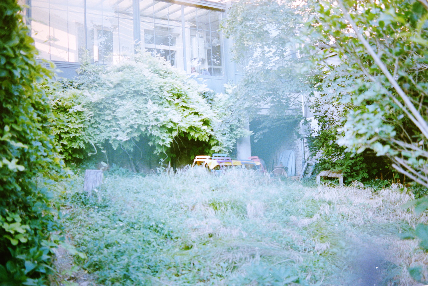 Through the grillin was this cut corner of garden, barely maintained and covered in vegetation. You could nearly miss the table set left there, despite its vivid color and mismatched chairs. I would definitively sit there for a cup of tea, as long as you are fine with ignoring the pesky photographer that would find you frame-worthy.