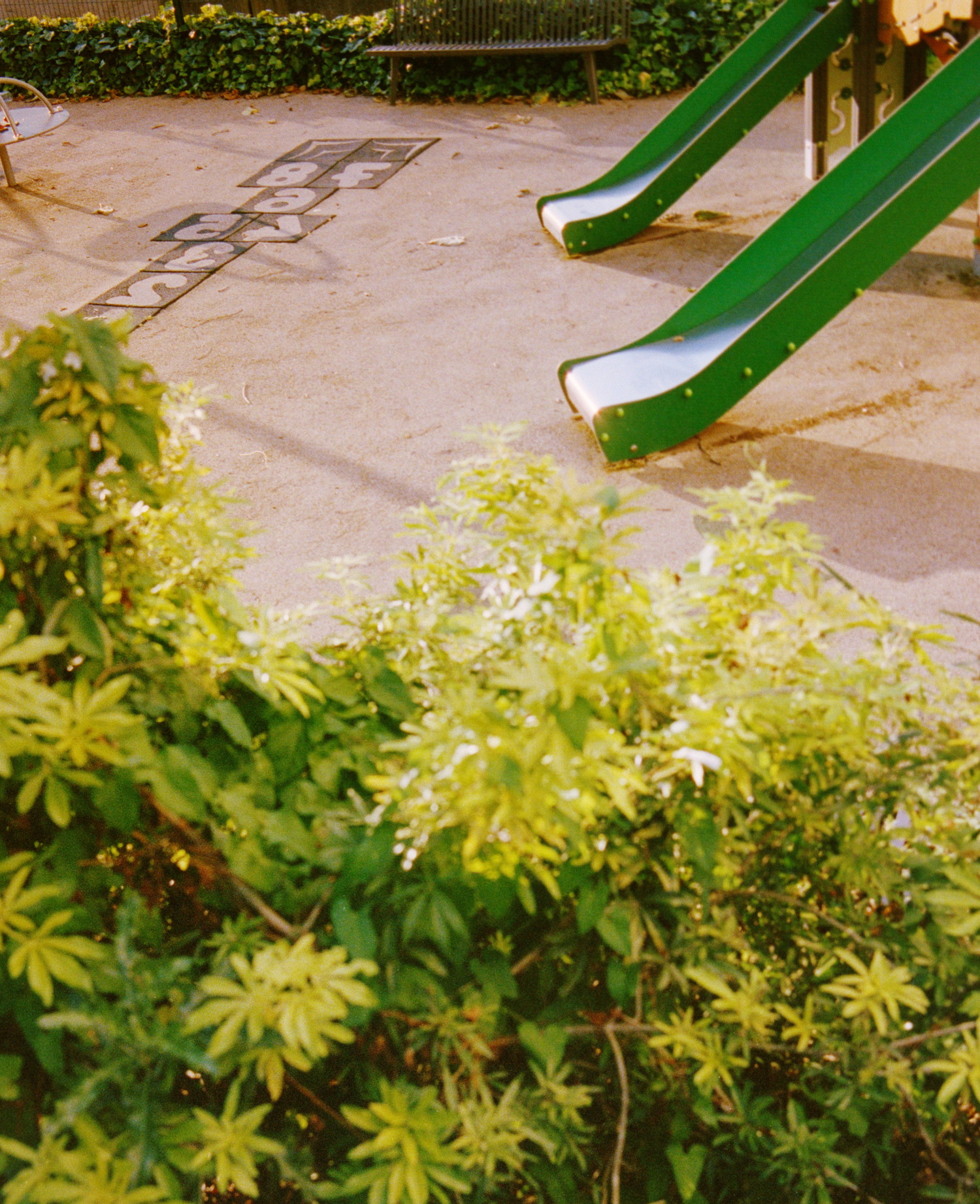 End of the day is the perfect time for film photography (and even photography in general), the kid playground had beautiful golden color everywhere, embracing it all in warmness. Some bushy plants form a nicely layered foreground which match the vivid green color of the slides in the back. Slides whose shinny metal is reflecting the sun at the right angle, creating a tiny flare and bringing even more sun into the picture.