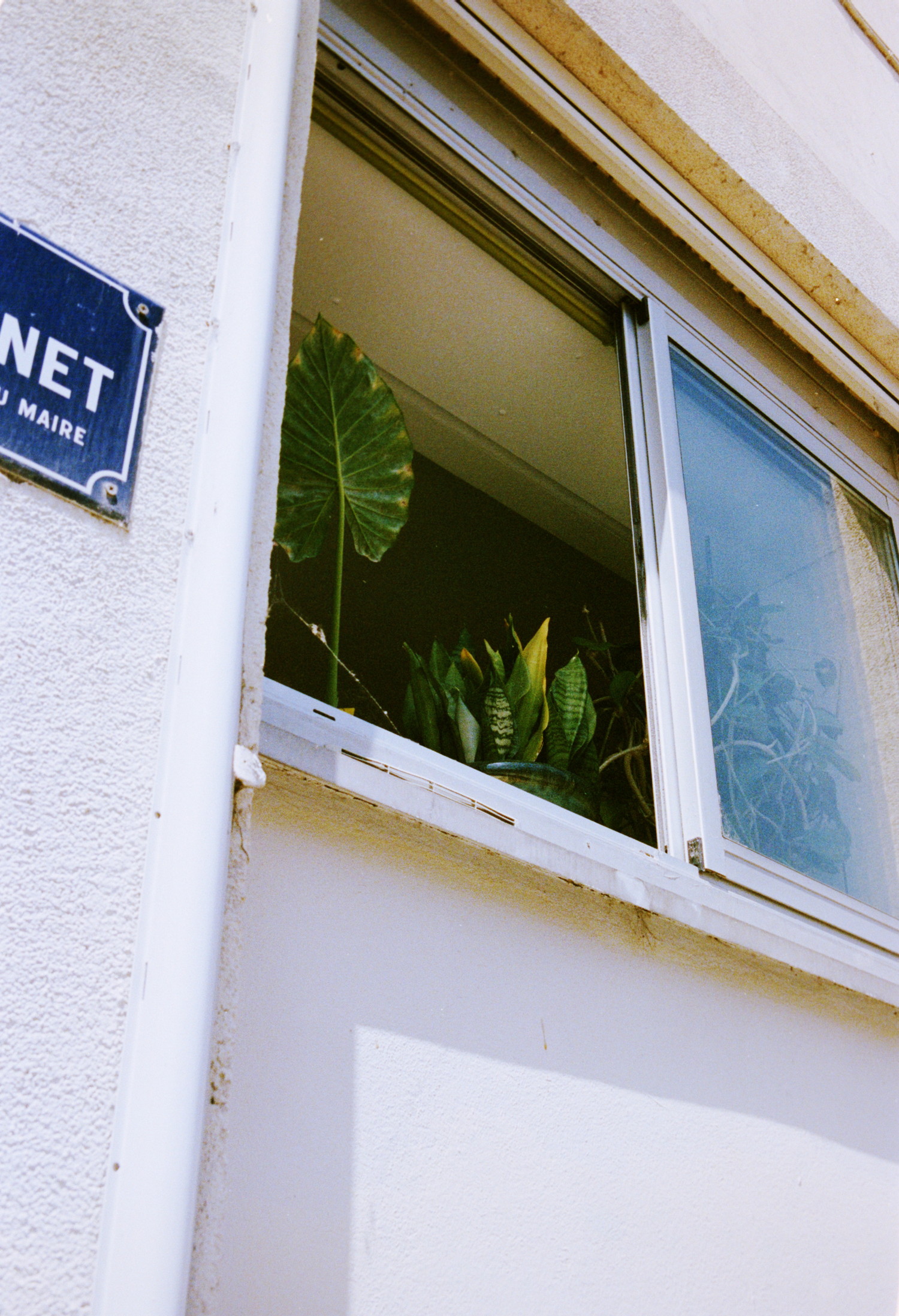 I looked up and slighty above me was this opened window. Emerging from the shadow of the interior I noticed some tropical plants that probably occupy the most luminous place of the apartment. This led me to press the shutter. Now that I can view the result I really like how the film stock rendered the blue of the sky reflecting on the window, which go in pair with the typical french blue street sign attached on the left.