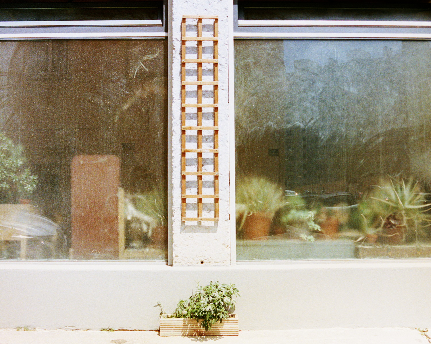 Turning around the corner I quickly notice the big window of what is maybe a studio or other working place. The large piece of glass were covered in dust and most interestingly a lot of tropical plants left behind them. I took the shot parallel to the window creating nice straight geometrical shape that works well with the wall architecture.