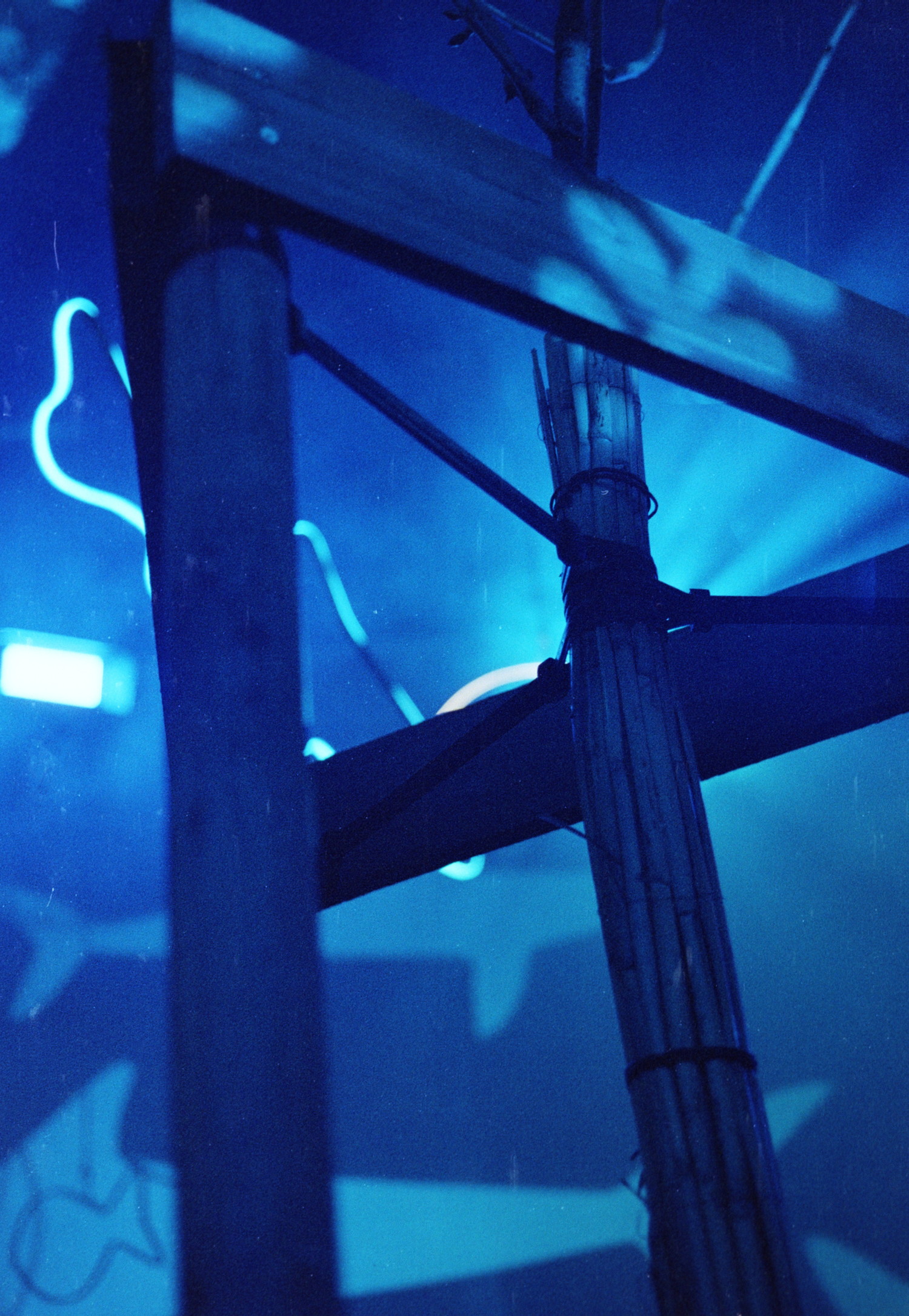 A closer look inside the fish tank, there was this tree providing a nice foreground to hint a the very atmospheric background with some fish silhouette. It's so intensely blue, with rays of light everywhere.