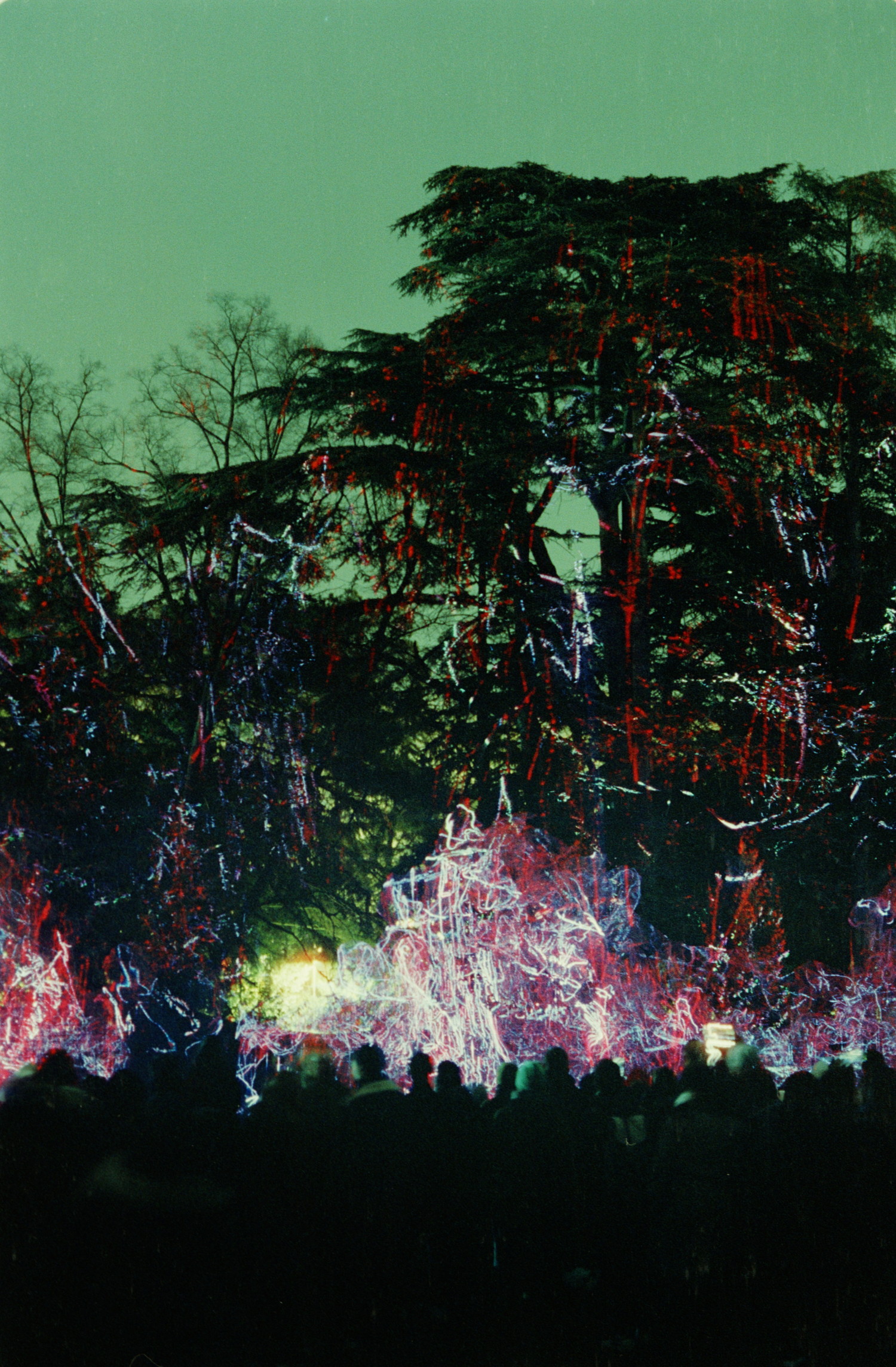 Another curious display of lights, numerous beams of light flashing all around, projecting onto the surrounding vegetation that give it volume. It's flashing in all direction, alternating strong menacing colours and softer ones. And we all stay there the head high, waiting to distinguish some pattern in that fest of light. But the camera captured what our eyes cannot, and the long seconds it was open for reveal the silhouette of the invisible tree that suddenly cut out well against a weirdly green sky.